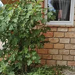 Apartament Mediterrania Keszthely