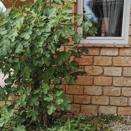 Apartment Mediterrania Keszthely